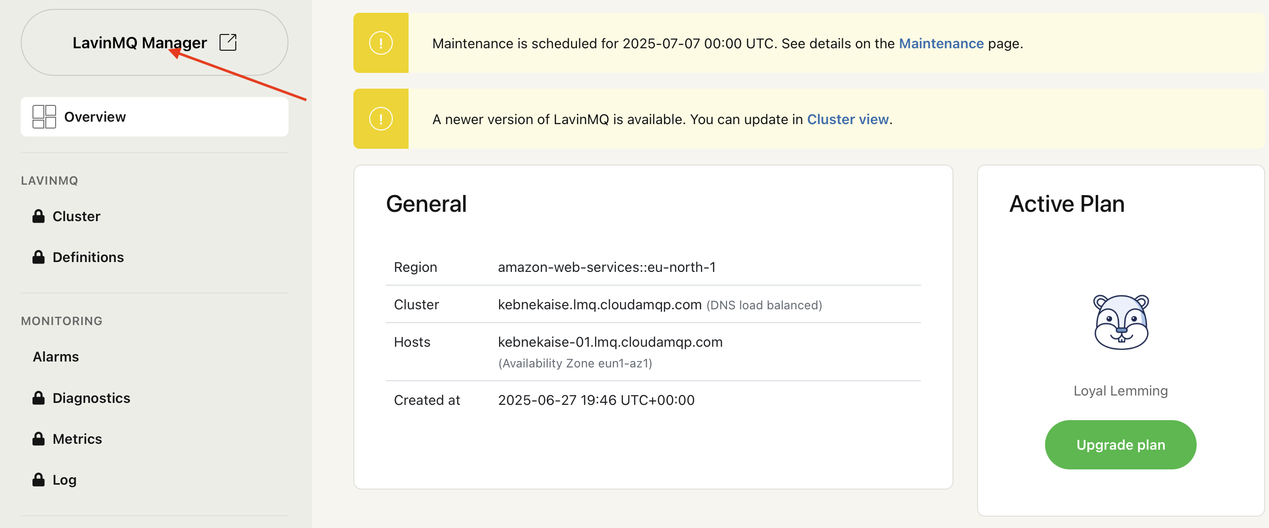 LavinMQ Manager