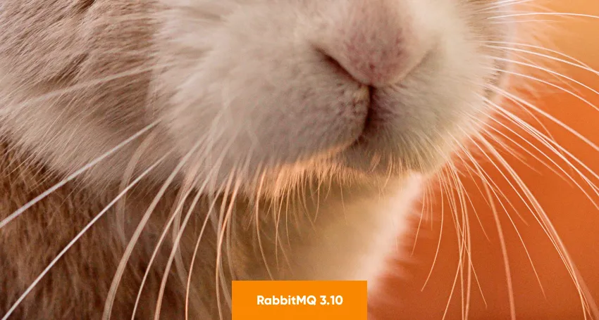 What’s new in RabbitMQ 3.10?