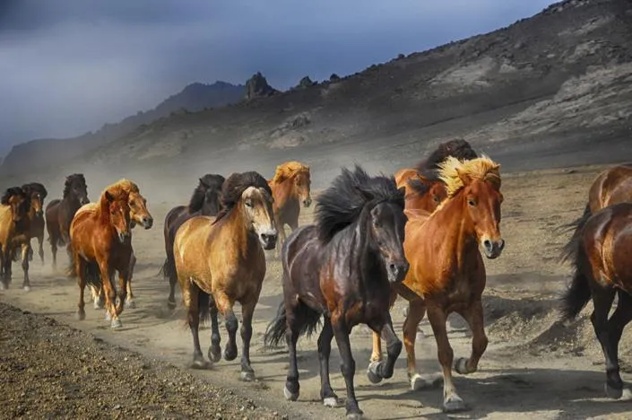 Stopping the stampeding herd problem with lazy queues